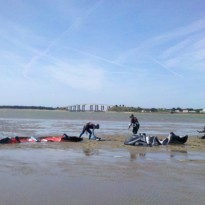 Merci stagiaire école kitesurf Noirmoutier / Fromentine / Vendée